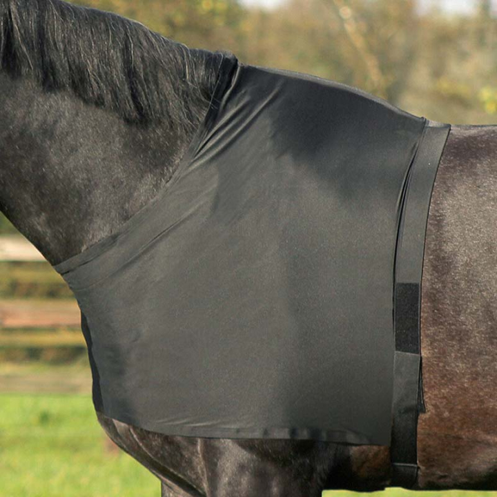 Schouderbeschermers Elastic Zwart in de groep Paardendekens / Accessoires dekens / Borstbeschermers bij Equinest (5106ZWLBA_r)