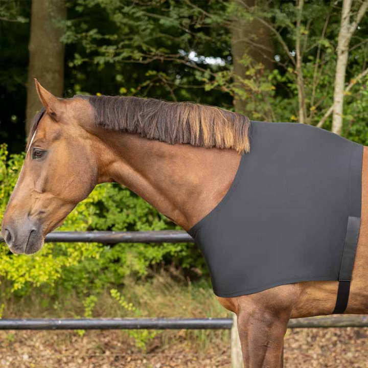 Schouderbeschermers Elastic Zwart in de groep Paardendekens / Accessoires dekens / Borstbeschermers bij Equinest (5106ZWLBA_r)