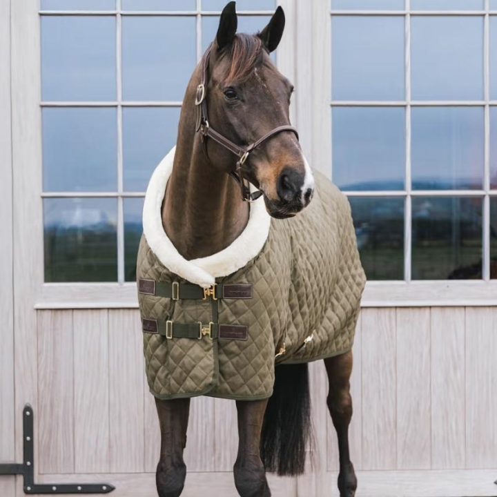 Showdeken/Staldeken 160g Groen in de groep Paardendekens / Wedstrijd- & Transportdekens bij Equinest (52101LGN)