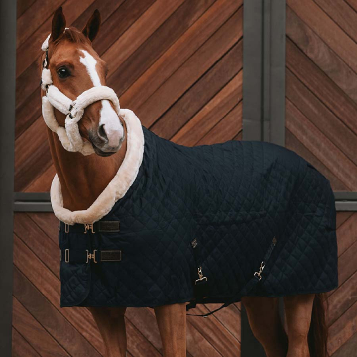 Wedstrijddeken/Staldeken 160g Zwart in de groep Paardendekens / Wedstrijd- & Transportdekens bij Equinest (52101Sv_r)