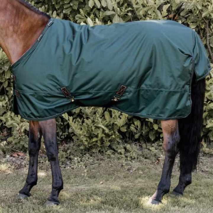 Buitendeke All Weather Waterproof Pro 160g Donkergroen in de groep Paardendekens / Buitendekens / Overgangsdekens bij Equinest (52121DGN_r)