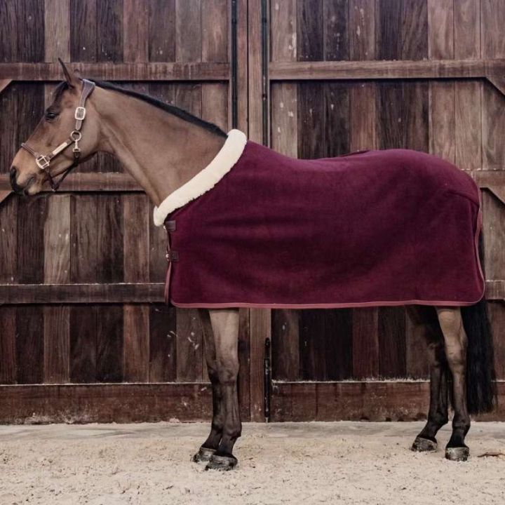 Showdeken Heavy Fleece Bordeaux in de groep Paardendekens / Fleecedekens bij Equinest (52148Bo_r)