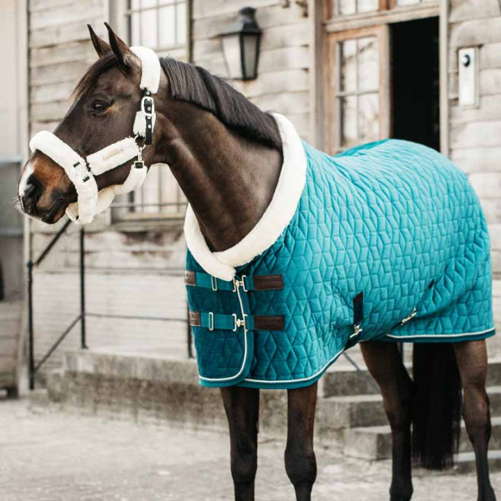 Wedstrijddeken Velvet Emerald in de groep Paardendekens / Wedstrijd- & Transportdekens bij Equinest (52171Gn_r)