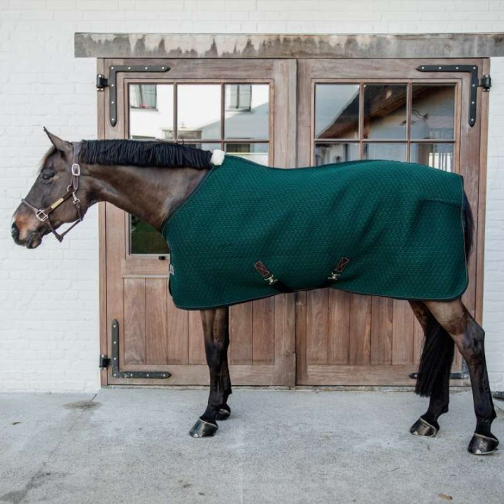 Coolerdeken 4D Spacer Groen in de groep Paardendekens / Koeldeken bij Equinest (52183PGN)