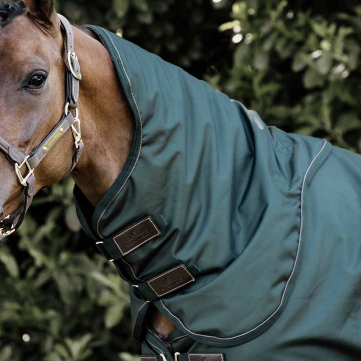 Halsstuk All Weather Waterproof Pro 150g Donkergroen in de groep Paardendekens / Halsstukken bij Equinest (52201DGN_r)