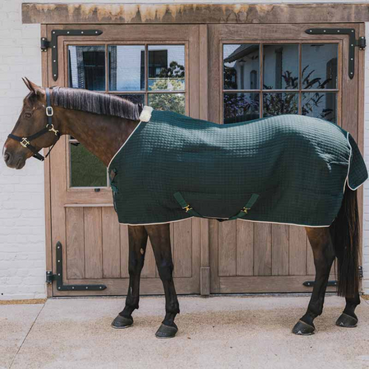 Koeldeke PROTherm Donkergroen in de groep Paardendekens / Koeldeken bij Equinest (52231DGN_r)