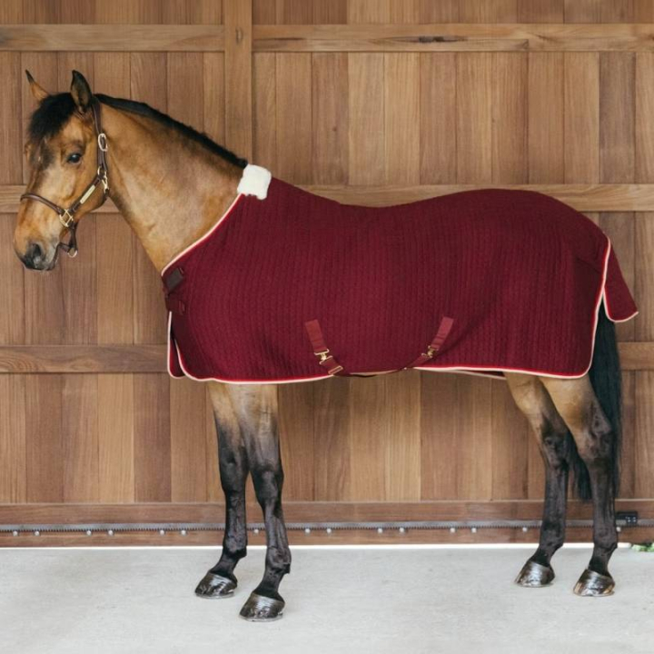Koeldeke PROTherm Bordeaux in de groep Paardendekens / Koeldeken bij Equinest (52231RE_r)