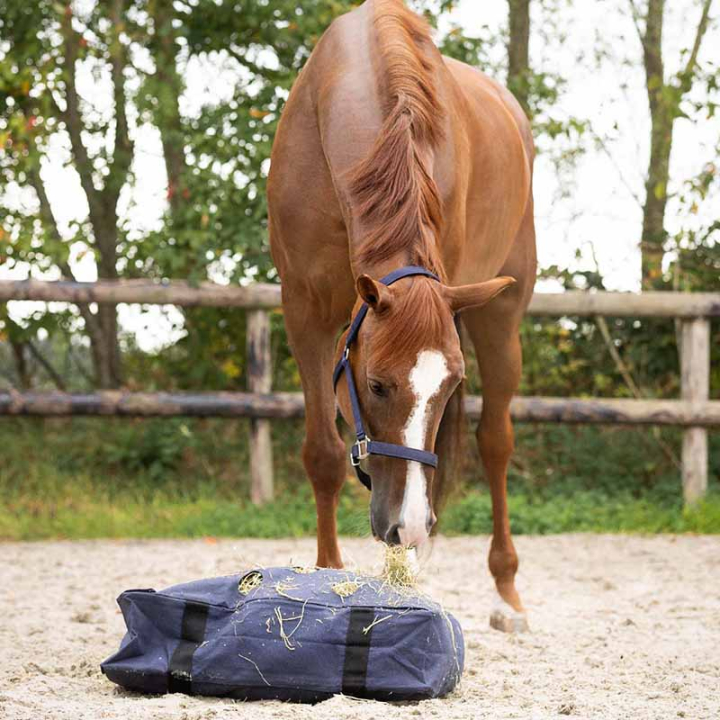 Hooinet Cushion Marineblauw in de groep Stal & Weide / Staluitrusting / Hooinetten & Hooizakken bij Equinest (5496NA0NA)