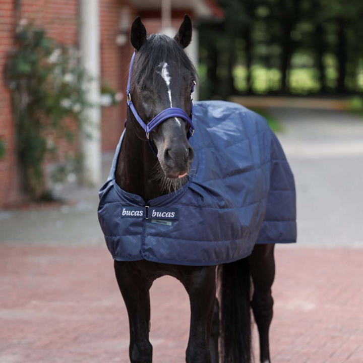 Liner Layer 100g Marineblauw in de groep Paardendekens / Liners & Onderdekens bij Equinest (55135BL)