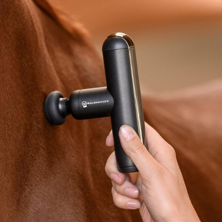 Massageapparaat Pocket Relax Zwart in de groep Paardenverzorging en Verzorging / Massage & Bloedcirculatie bij Equinest (5701000BA)
