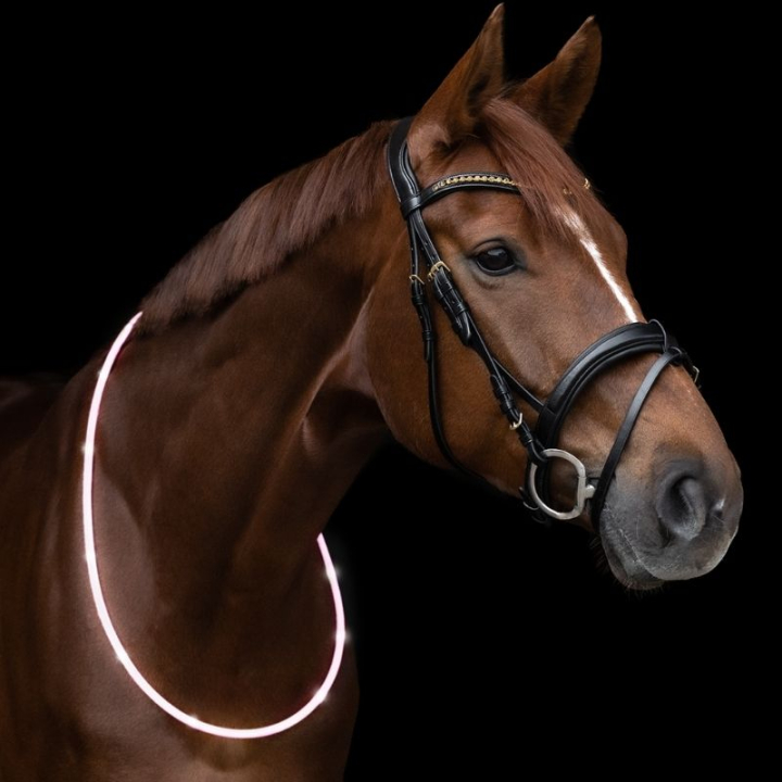 Halsring LED Light Wit in de groep Rijuitrusting / Reflectoren bij Equinest (5733402WH)