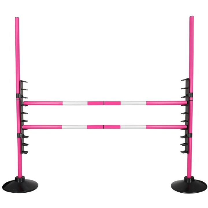 Hindernis voor stokpaard Roze in de groep Stokpaarden & Speelgoedpaarden / Uitrusting voor Stokpaard bij Equinest (5737FU0PI)
