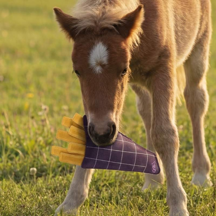 Paardenspeelgoed Snackcounter Fries in de groep Stal & Weide / Paardenspeelgoed bij Equinest (5740FRS0)
