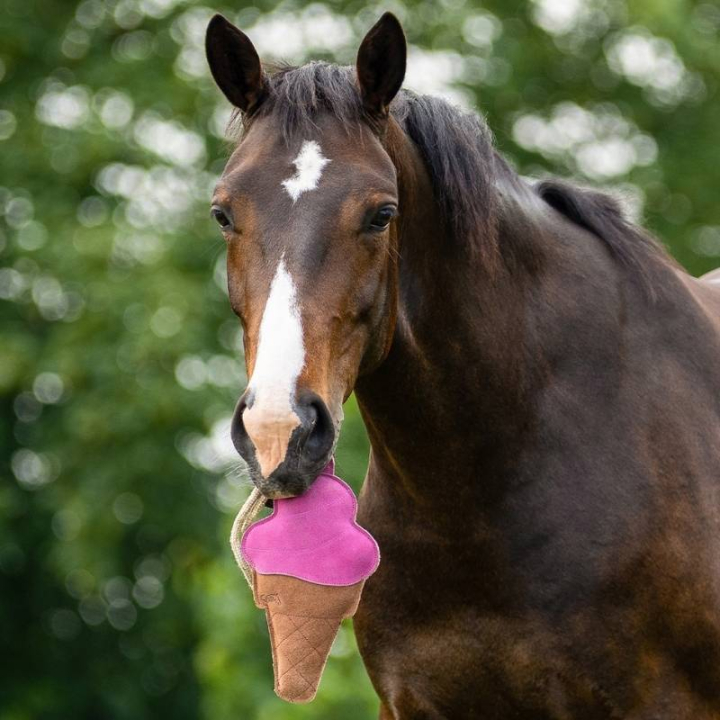 Paardenspeelgoed Snackcounter Ice Cream in de groep Stal & Weide / Paardenspeelgoed bij Equinest (5740ICC0)