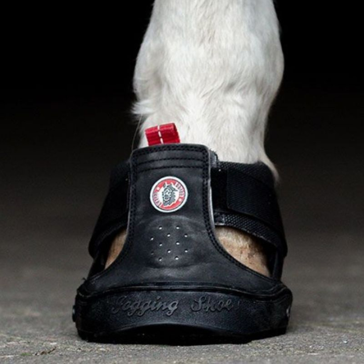Hoefschoen Trekking Shoe Regular Zwart in de groep Paardenuitrusting / Hoefschoenen & Accessoires bij Equinest (59050107BA_r)