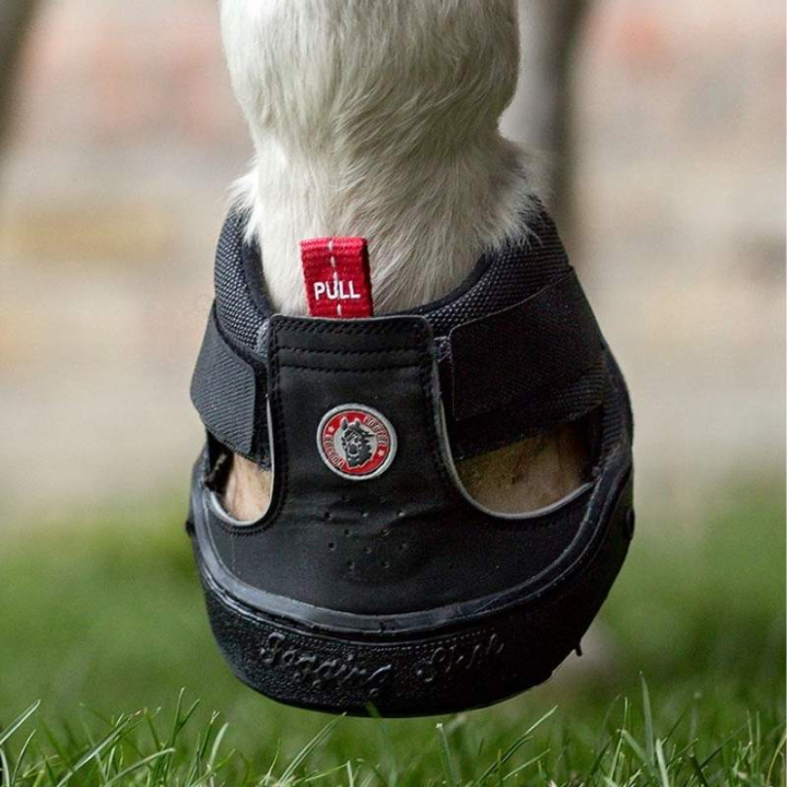Hoefschoen Trekking Shoe Slim Zwart in de groep Paardenuitrusting / Hoefschoenen & Accessoires bij Equinest (59060107BA_r)