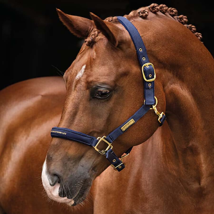 Halster HS Equestrian Life Marineblauw in de groep Paardenuitrusting / Halsters / Stof- & Nylon Halsters bij Equinest (600543NA_r)