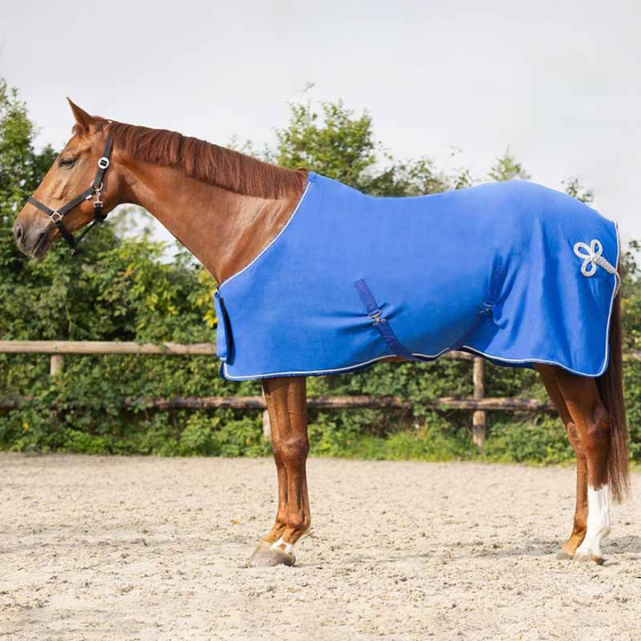 Fleecedeke Ornament Blauw/Silber in de groep Paardendekens / Fleecedekens bij Equinest (6014KBLZI145BL_r)