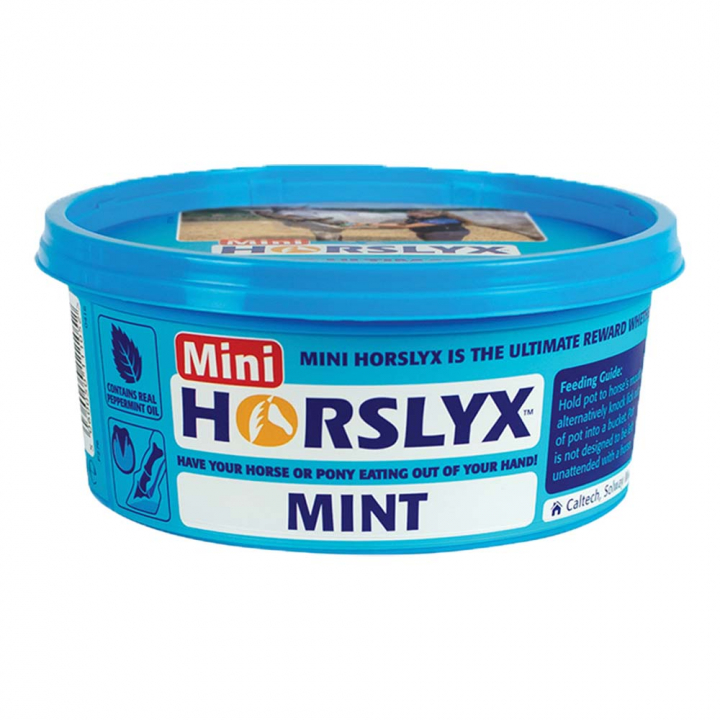 Liksteen Mini Mint Balancer 650g in de groep Voedingssupplement / Voedingssupplement paard / Zoutstenen & Likstenen bij Equinest (603327-MINT)