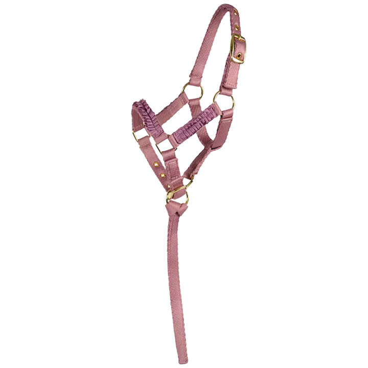 Veulenhalster HS Ongevoerd Roze in de groep Paardenuitrusting / Halsters / Veulen Halters bij Equinest (603422PI_r)