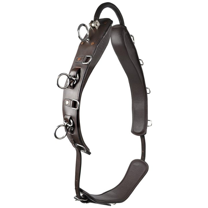 Longeergordel met Boog HS Bruin in de groep Paardenuitrusting / Longeren & Grondwerk bij Equinest (603954BR)