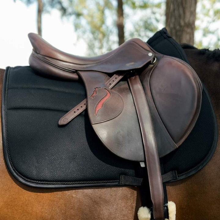 Zadeldekje HS Cool Mesh Zwart in de groep Paardenuitrusting / Zadeldekjes / Springzadeldekjes & Veelzijdigheidszadeldekjes bij Equinest (604023BA_r)