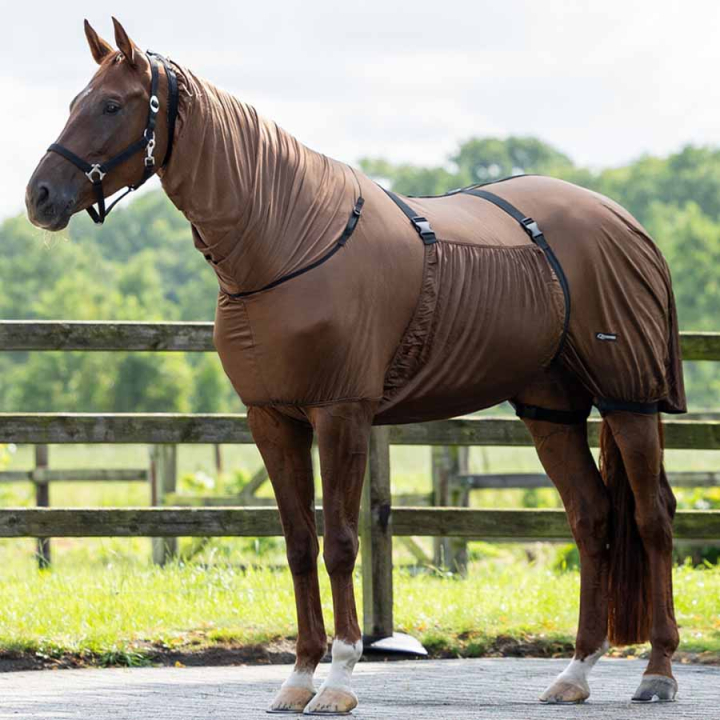 Eksemtdeken UV-Resistant Bruin in de groep Vliegbescherming / Vliegendekens bij Equinest (6060BR105BR_r)