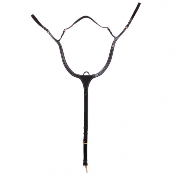 Borsttuig E-logo Zwart/Messing in de groep Paardenuitrusting / Martingaal & Borsttuig / Borsttuig bij Equinest (610001000203BA)