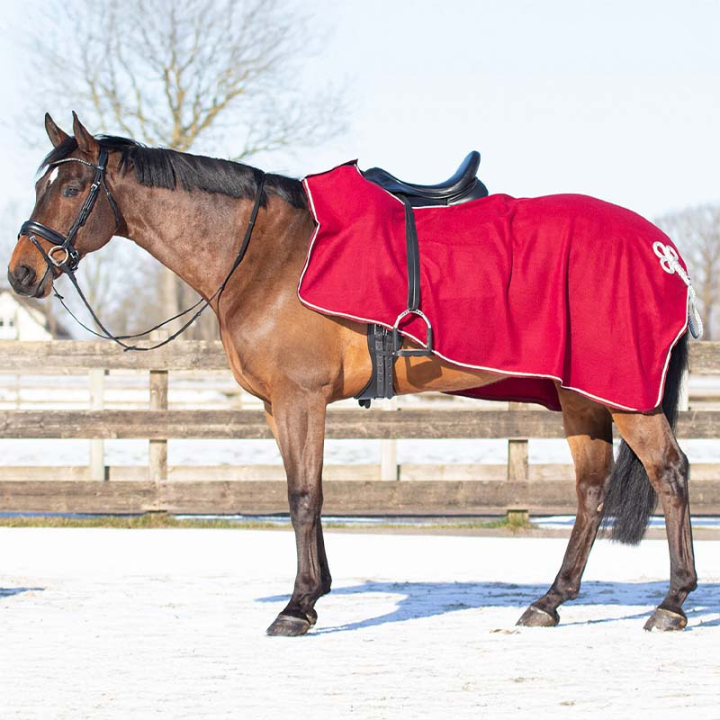 Uitrijdeken Ornament Fleece Burgundy/Silber in de groep Paardendekens / Uitrijdekens bij Equinest (6106BOZILWN_r)