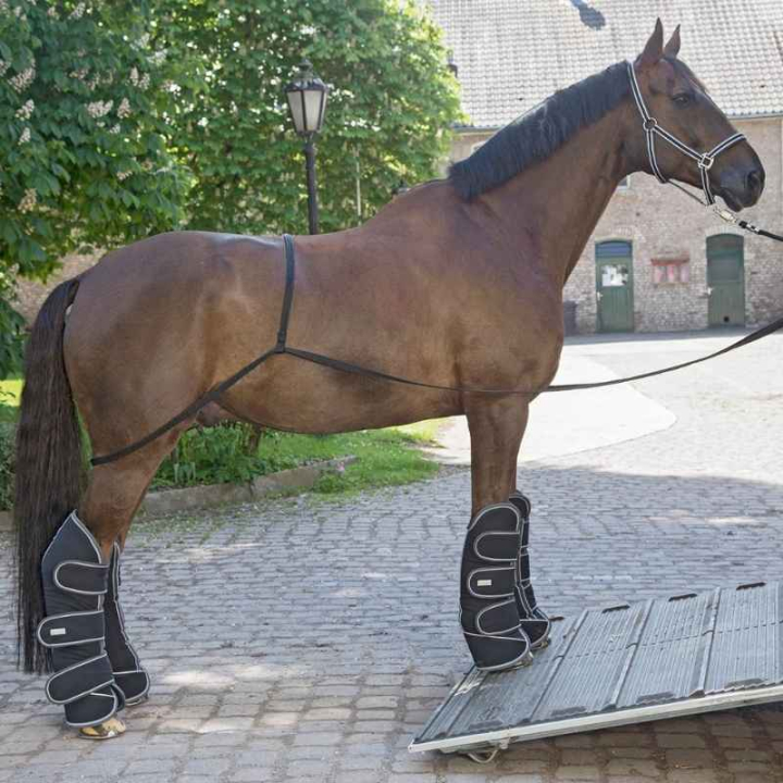 Laadhulp Transport Aid Zwart in de groep Paardenuitrusting / Transport bij Equinest (6178200BA)
