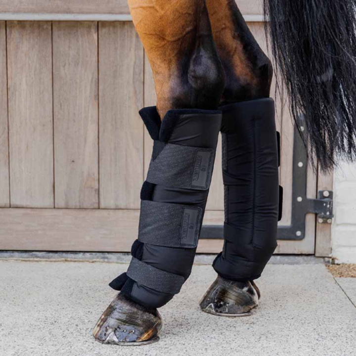 Stalbeschermers PROtect Classic Hind Zwart in de groep Paardenuitrusting / Beenbeschermers & Bandages / Transportbescherming & Stalbescherming bij Equinest (6210901LBA_r)