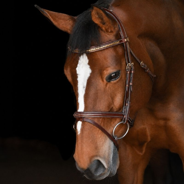 Hoofdstel Thamar E-logo Klinker Bruin/Messing in de groep Paardenuitrusting / Hoofdstellen & Frontriemen / Hoofdstel bij Equinest (622001100202BR)