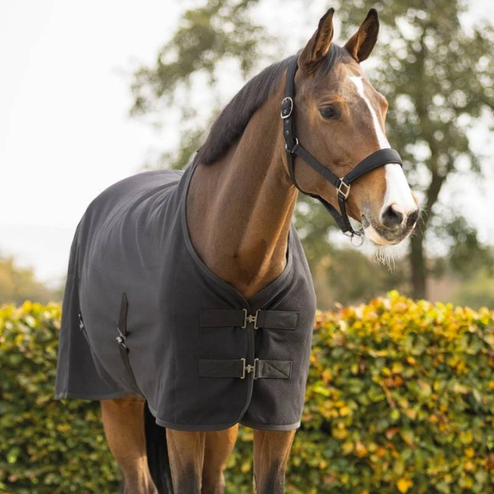 Wedstrijddeke Avenna Zwart in de groep Paardendekens / Wedstrijd- & Transportdekens bij Equinest (6421ZW165BA_r)