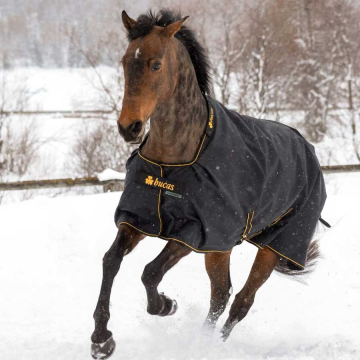 Winterdeken Irish Turnout 300g Zwart/Goud in de groep Paardendekens / Buitendekens / Wintertdekens bij Equinest (65400-300-Sv_r)