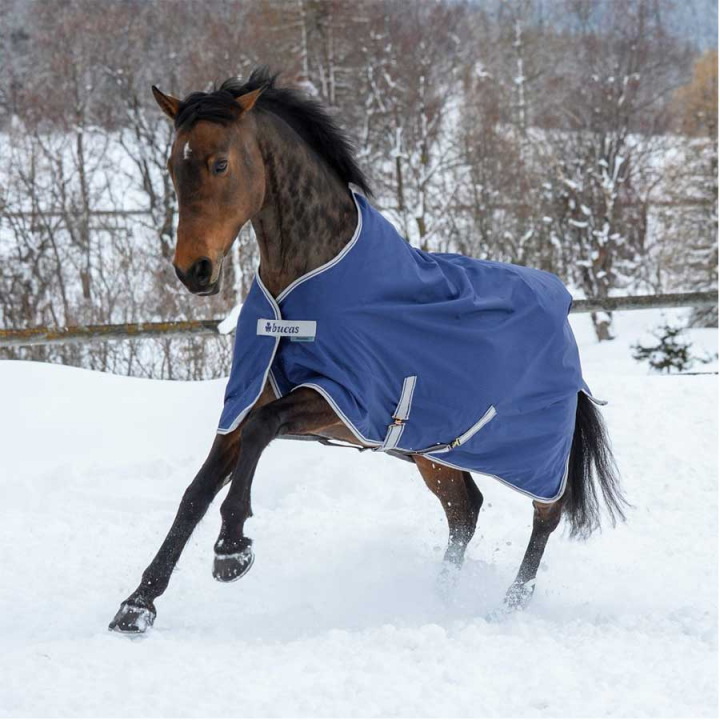Winterdeken Pony Freedom Turnout 150g Marineblauw in de groep Paardendekens / Buitendekens / Wintertdekens bij Equinest (66300P-150-Ma_r)