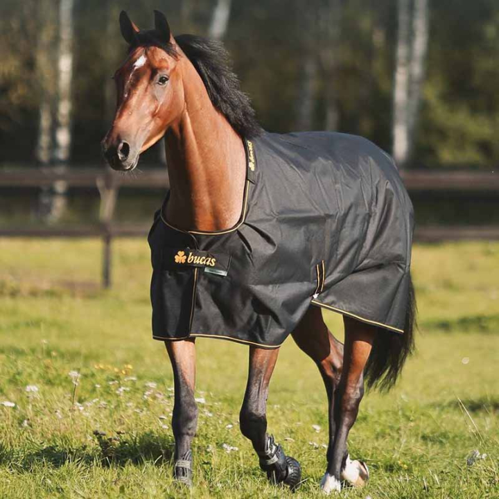 Regendeke Irish Turnout 0g Zwart/Goud in de groep Paardendekens / Buitendekens / Regendekens bij Equinest (6651522BAGO_r)