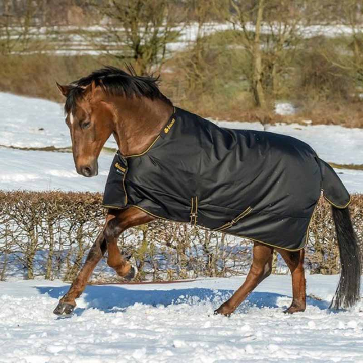 Wintertdeke Irish Turnout 250g Zwart/Goud in de groep Paardendekens / Buitendekens / Wintertdekens bij Equinest (6761522BAGO_r)