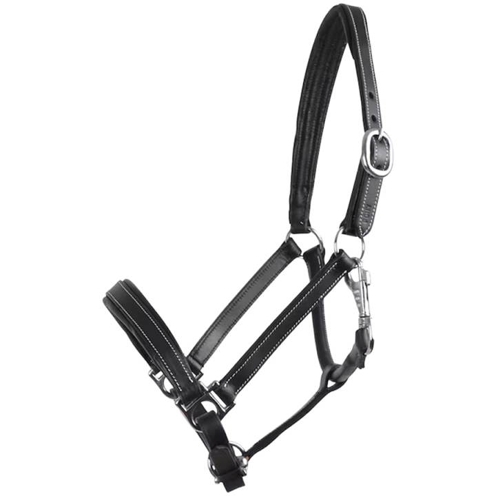 Lederen Halster Scandi Zwart in de groep Paardenuitrusting / Halsters / Leren Halsters bij Equinest (712013_S_r)
