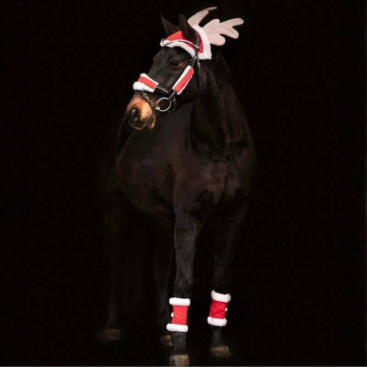Christmas Set 6-delig Rood/Wit in de groep Feestdagen & Verkleedpartijen bij Equinest (7464801REWH)