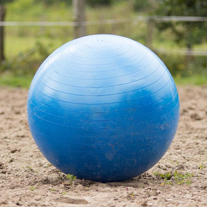 Paardenvoetbal Blauw in de groep Stal & Weide / Paardenspeelgoed bij Equinest (8005BL80100BL)