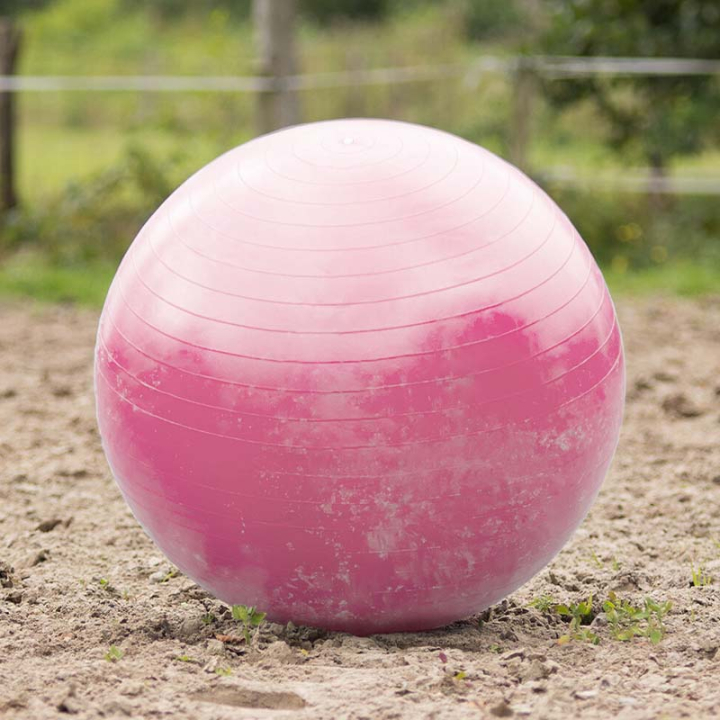 Paardenvoetbal Roze in de groep Stal & Weide / Paardenspeelgoed bij Equinest (8005RZ80100PI)
