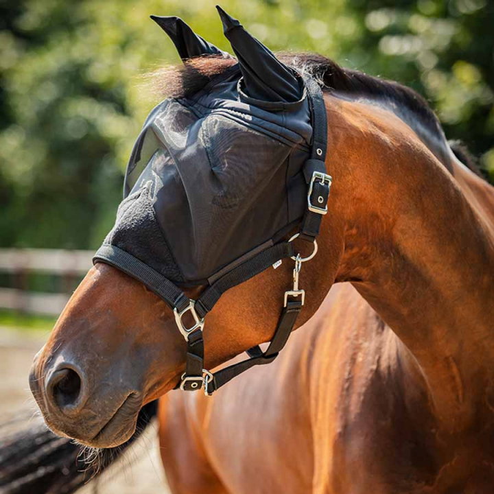 Halster met Vliegen oornetje HG Zwart in de groep Vliegbescherming / Vliegenmaskers bij Equinest (806990201BA_r)