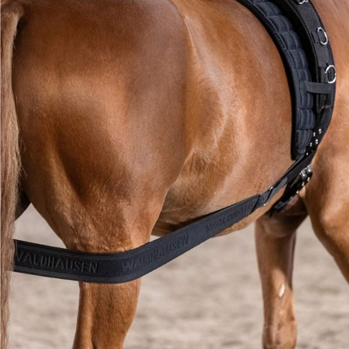 Body Bandage Elastic Zwart Cob/Full in de groep Paardenuitrusting / Longeren & Grondwerk bij Equinest (81053012BA-CF)