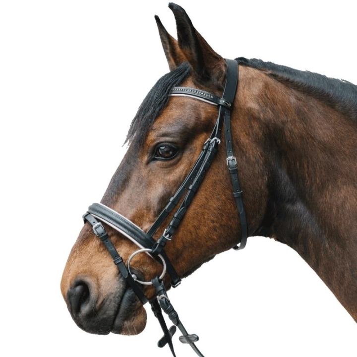 Hoofdstel Diamond Zwart/Wit in de groep Paardenuitrusting / Hoofdstellen & Frontriemen / Hoofdstel bij Equinest (81357002BAWH_r)
