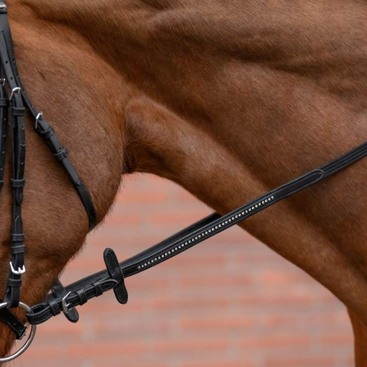 Webteugels Diamond Zwart in de groep Paardenuitrusting / Teugels / Webband Teugels bij Equinest (8139801PBA_r)