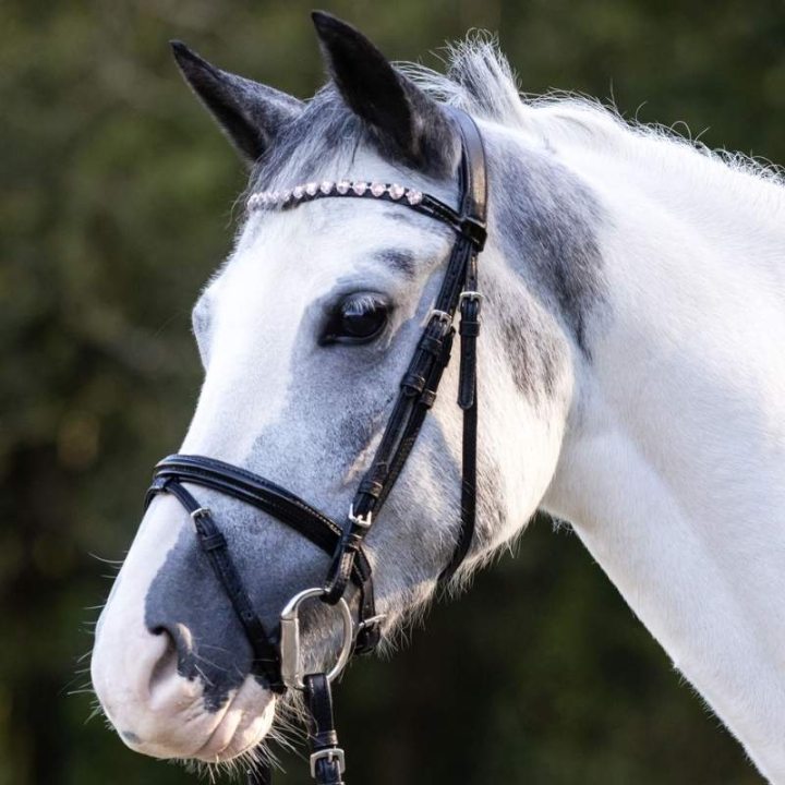 Hoofdstel Happy Hearts Zwart in de groep Paardenuitrusting / Hoofdstellen & Frontriemen / Hoofdstel bij Equinest (8142801MBA_r)