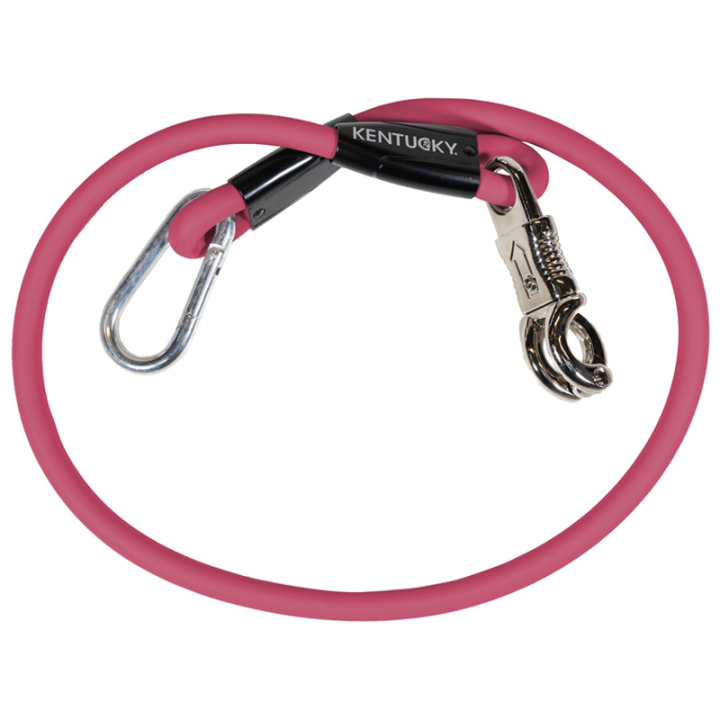 Aanbindtouw Box Lead & Cross Silicone Roze in de groep Paardenuitrusting / Halstertouwen & Transport Halstertouwen / Transport Halstertouwen bij Equinest (821581455PI_r)