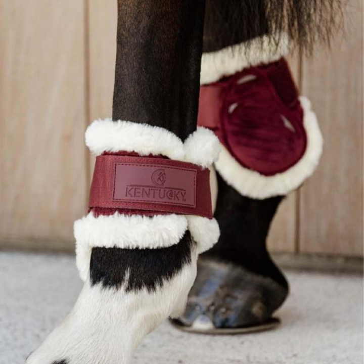 Strijklappen Young Vegan Sheepskin Velvet Bordeaux in de groep Paardenuitrusting / Beenbeschermers & Bandages / Kogelbeschermers & Strijklappen bij Equinest (88210WN_r)