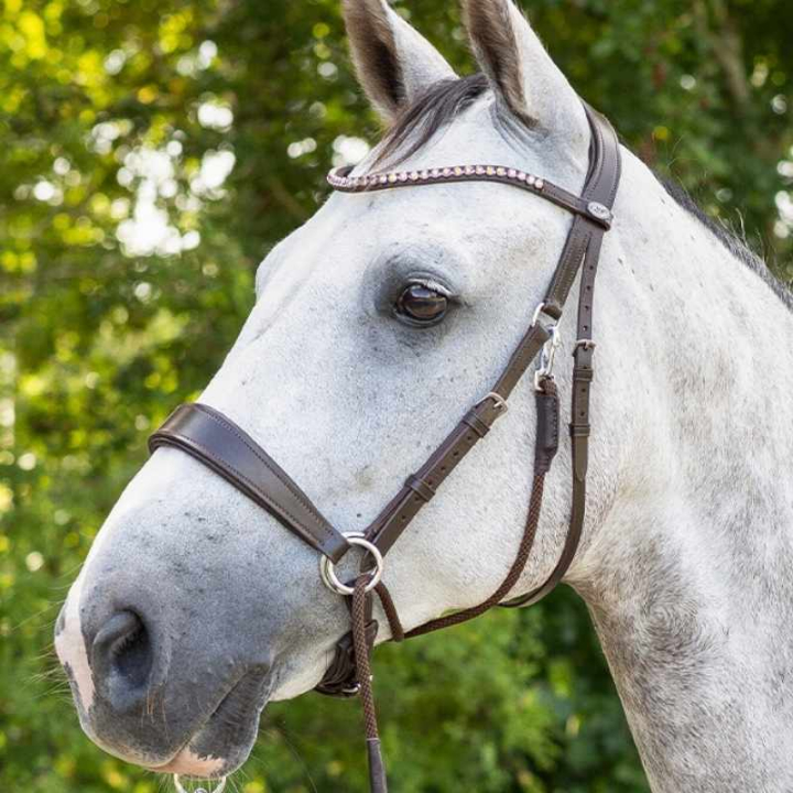 Bitloos hoofdstel Sunna Bruin in de groep Paardenuitrusting / Hoofdstellen & Frontriemen / Hackamore & Bitloze Hoofdstellen bij Equinest (9074BR3BR_r)