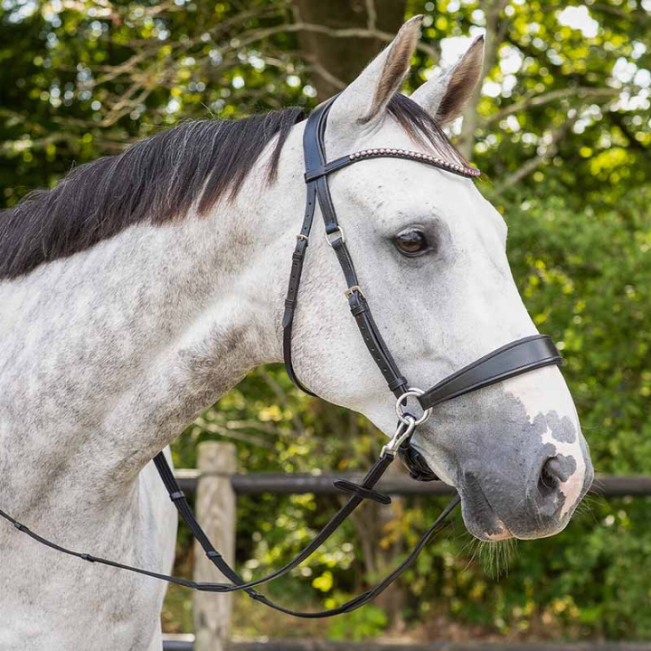 Bitloos hoofdstel Sunna Zwart in de groep Paardenuitrusting / Hoofdstellen & Frontriemen / Hackamore & Bitloze Hoofdstellen bij Equinest (9074ZW3BA_r)